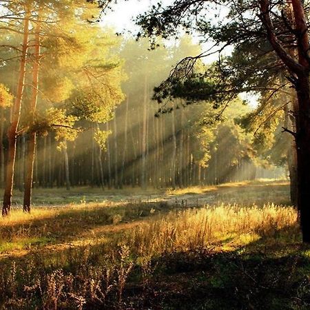 Pension Deimel Hallenberg Dış mekan fotoğraf