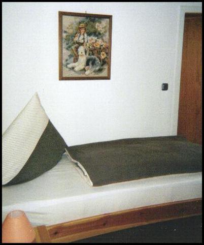 Pension Deimel Hallenberg Dış mekan fotoğraf
