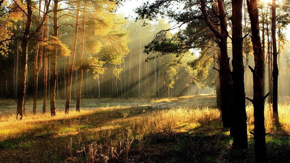 Pension Deimel Hallenberg Dış mekan fotoğraf